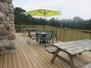 40 Beaver - deck facing Ebor Park off of lounge area